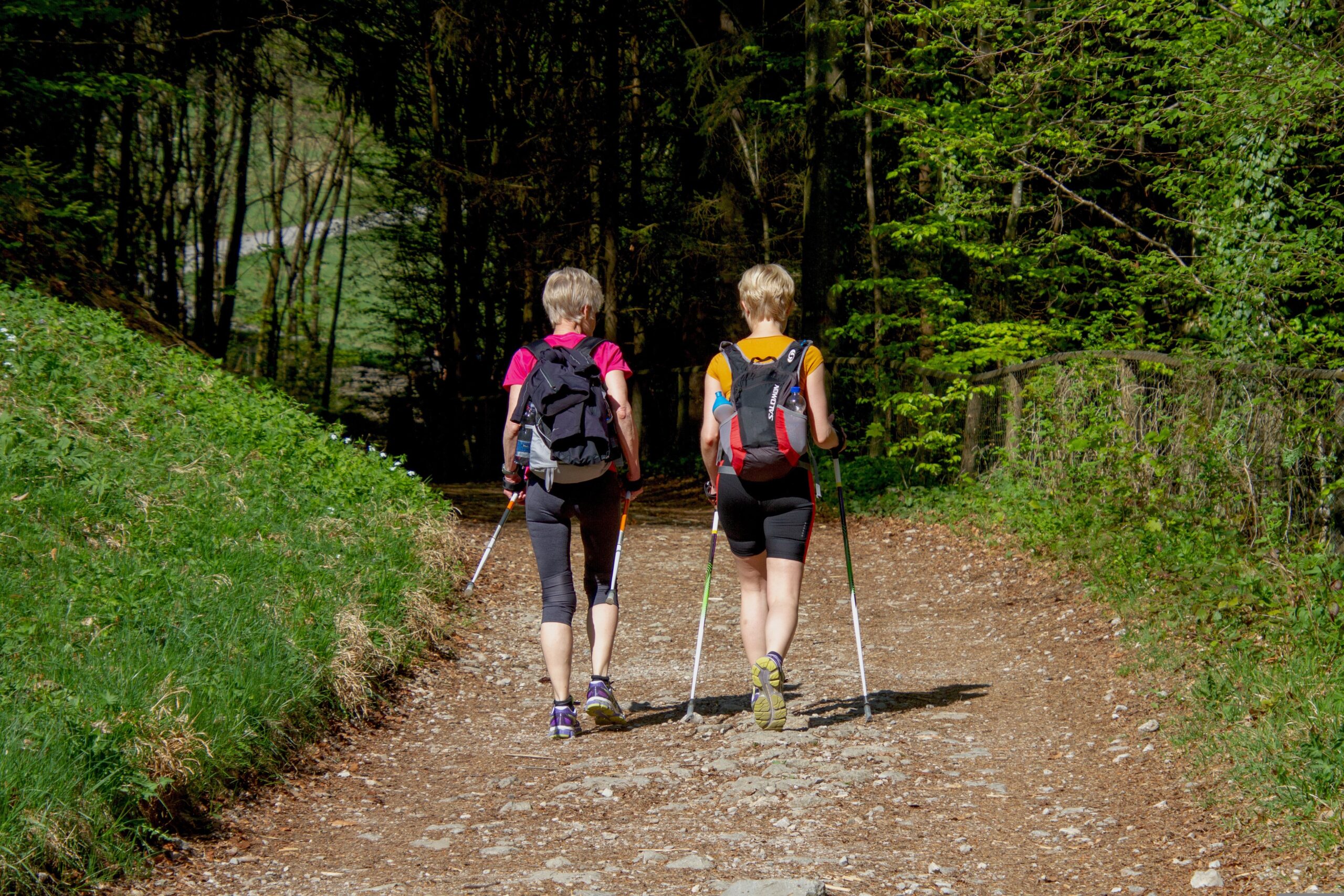 Zwei Frauen beim Nordic Walking in der Natur